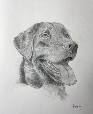 Black Lab by artist Bern Abplanalp